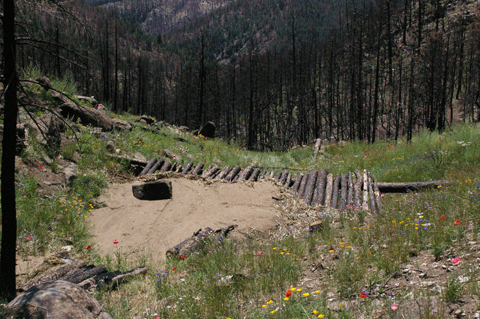 Natural Debri Catcher one year post fire